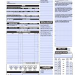 Fillable D&d 3.5 Character Sheet