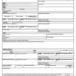 Automobile Loss Notice Accord Form Fillable