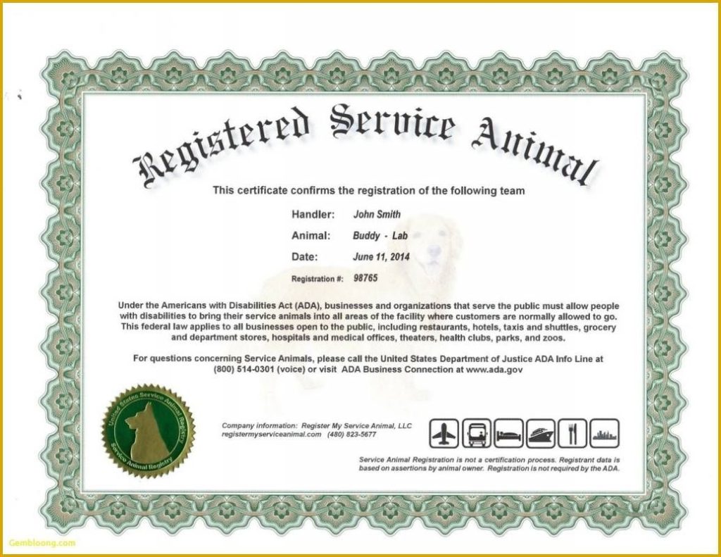 Fillable Downloadable Free Printable Service Dog Certificate