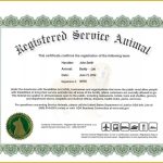 Fillable Downloadable Free Printable Service Dog Certificate