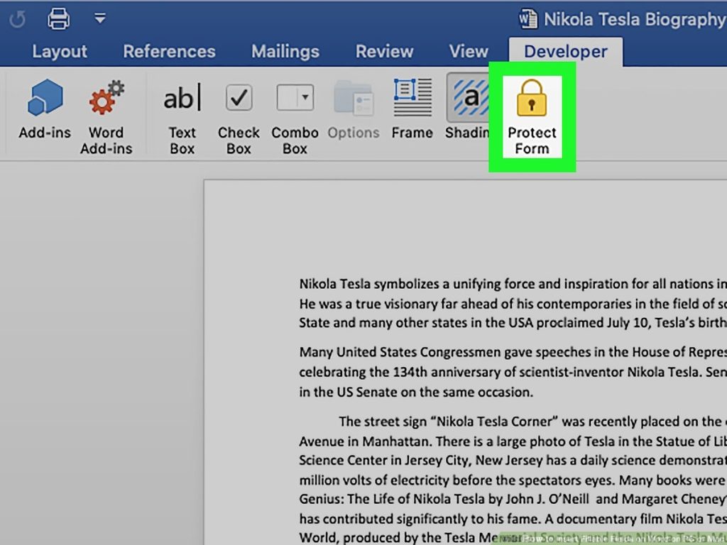 Fillable Text Box Word For Mac