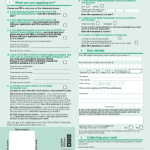 Print Blank D1 Form