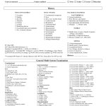 Printable E/m Audit Form