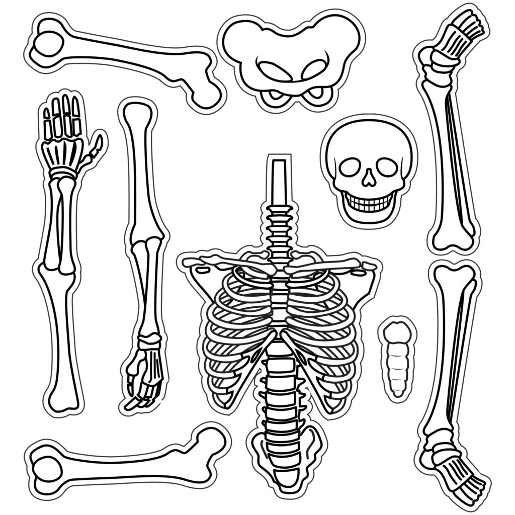 Cut Out Printable Skeleton Bones Template