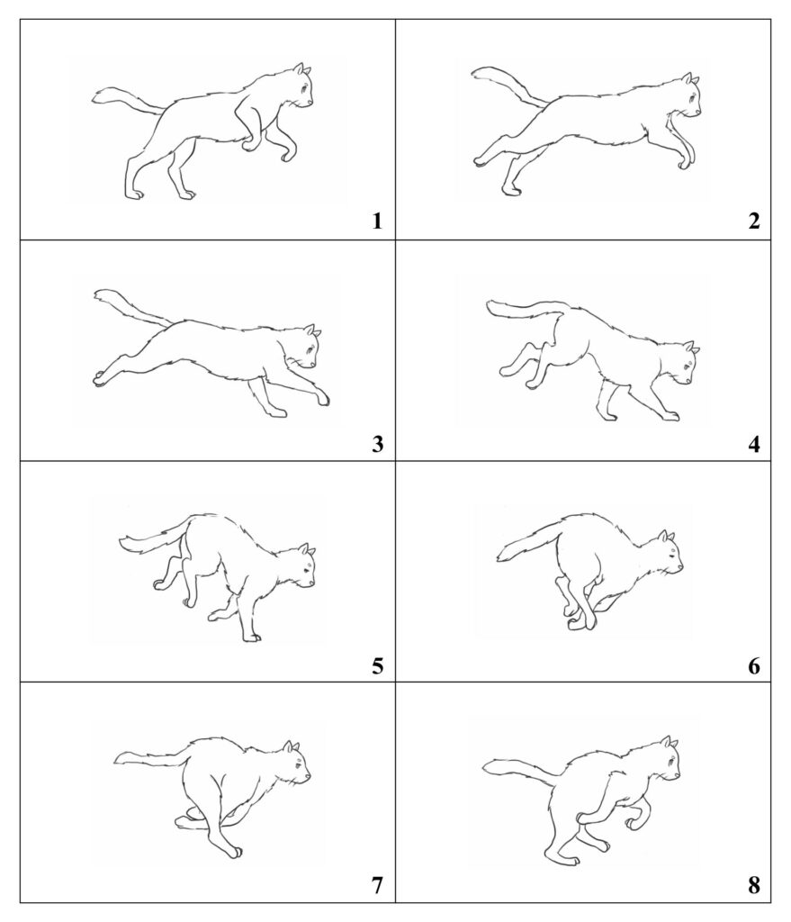 Flip Book Template Printable