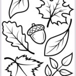 15 Elegant Fall Coloring Sheets Printable Photos printable fall leaves leaf template 15 Fall Leaves Coloring Pages Leaf Coloring Page Fall Coloring Pages