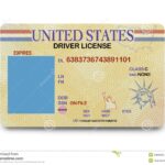 218 Blank Driver License Stock Photos Free Royalty Free Stock Photos From Dreamstime