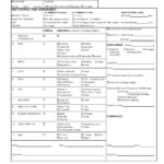 39 Printable Nursing Assessment Forms Examples