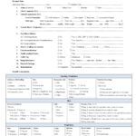 39 Printable Nursing Assessment Forms Examples