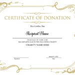 Editable Donation Certificate Template Printable Certificate Etsy Australia