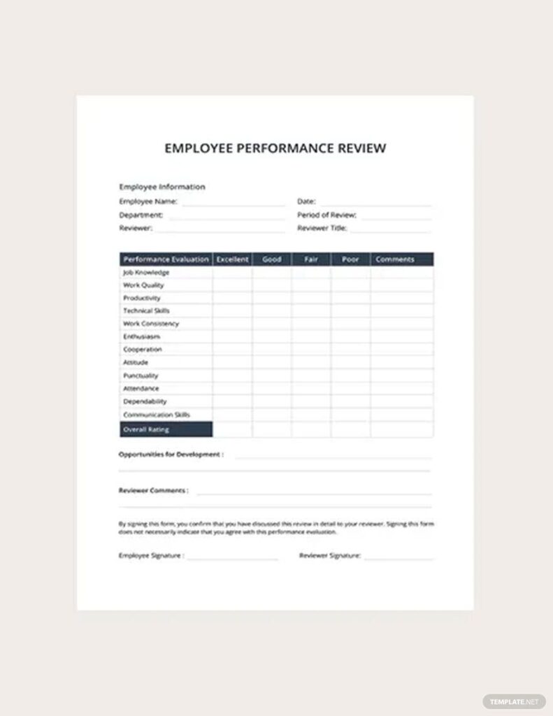 Employee Performance Review Template Google Docs Word Apple Pages PDF Template