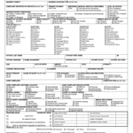 Ems Patient Care Report Form Fill Out Sign Online DocHub