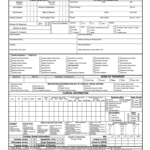 Ems Run Report Printable Fill Out Sign Online DocHub