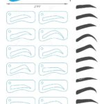 Eyebrow Stencil Stock Illustrations 65 Eyebrow Stencil Stock Illustrations Vectors Clipart Dreamstime