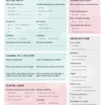 Free Birth Plan Template PDF And Checklist From Motif