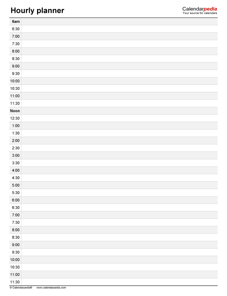 Printable Hourly Day Planner