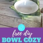 Free Microwave Bowl Cozy Pattern Sew Simple Home