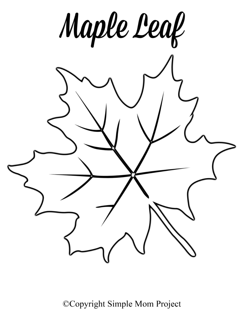 Large Leaf Template Printable