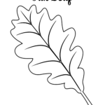 Free Printable Large Leaf Templates Stencils And Patterns Leaf Template Leaf Coloring Page Leaves Template Free Printable