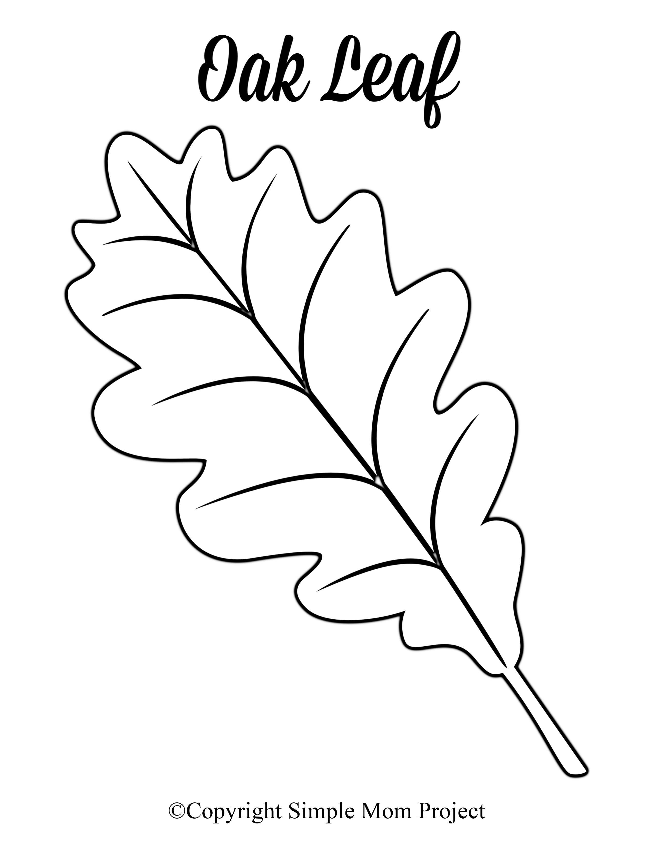 Free Printable Large Leaf Templates Stencils And Patterns Leaf Template Leaf Coloring Page Leaves Template Free Printable