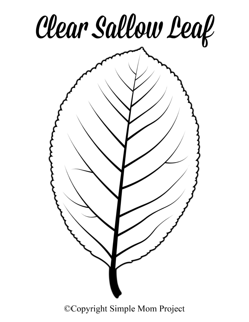 Big Leaf Template Printable