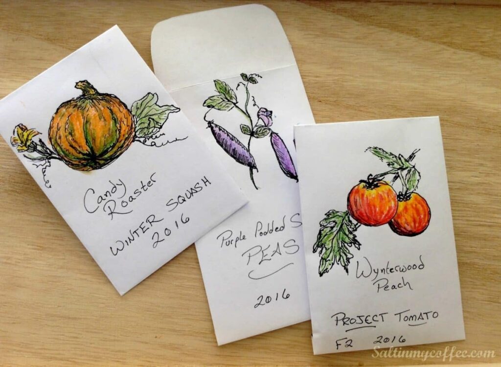 Free Printable Seed Packet Salt In My Coffee