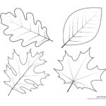 Leaf Templates Leaf Coloring Pages For Kids Leaf Printables Leaf Coloring Page Fall Leaves Coloring Pages Leaf Template Printable