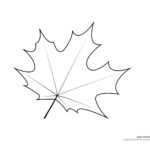 Maple Leaf Template Tim s Printables