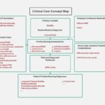 Nursing Concept Map Template EdrawMind