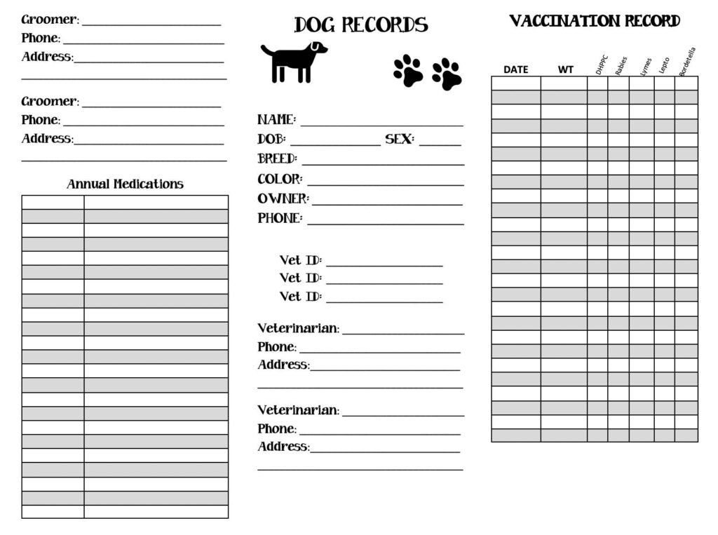 Printable Pet Health Record Template Excel