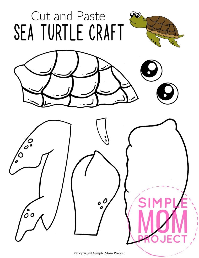 Printable Turtle Craft Template