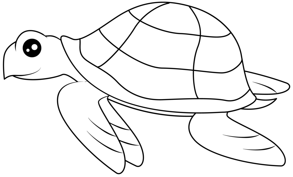 Turtle Template Printable