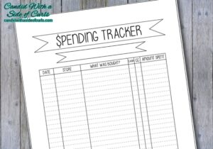Bullet Journal Budget Tracker Printable - Fillable Form 2023