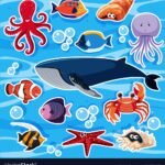 Sticker Template With Many Sea Animals Royalty Free Vector