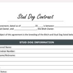 Stud Dog Contract Template Etsy de