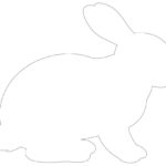 Rabbit Outline Amazing Printable Template