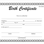 Downloadable Fillable Blank Birth Certificate