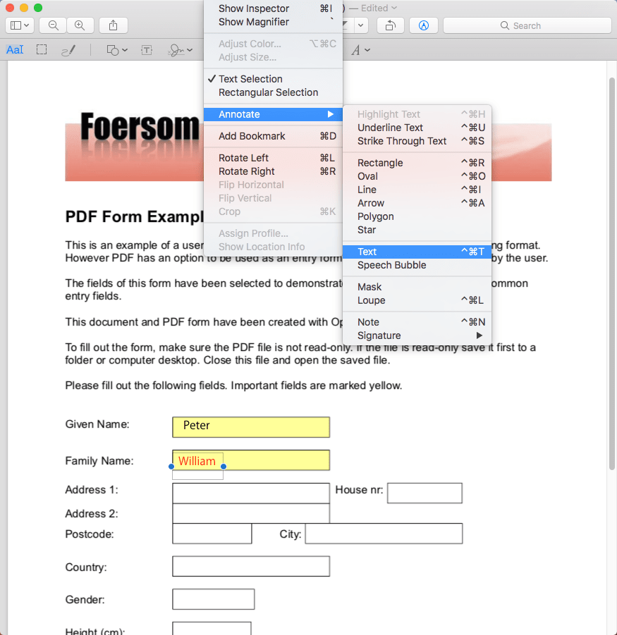 Edit Font Size In Fillable Form PDF