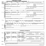 Fillable Certificate Of Dissoluton Of Marriage Ny