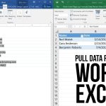 Export Data From Word Fillable Form