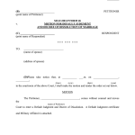 Free Printable Blank Divorce Forms