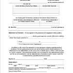 Free Printable Forms For Child Custody