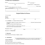 Printable Divorce Petition Form