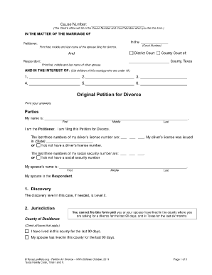 Printable Divorce Petition Form