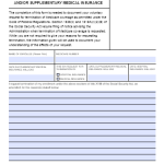 Printable Form Cms 1763