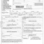 Printable Form Vsd 190