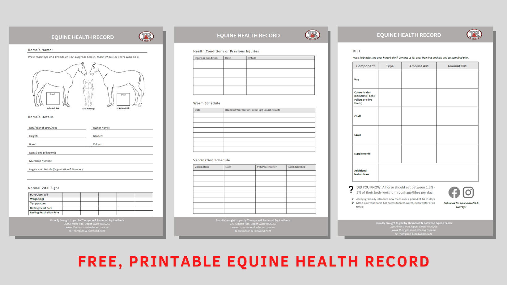 Printable Free Equine Record Keeping Forms Fillable Form 2024