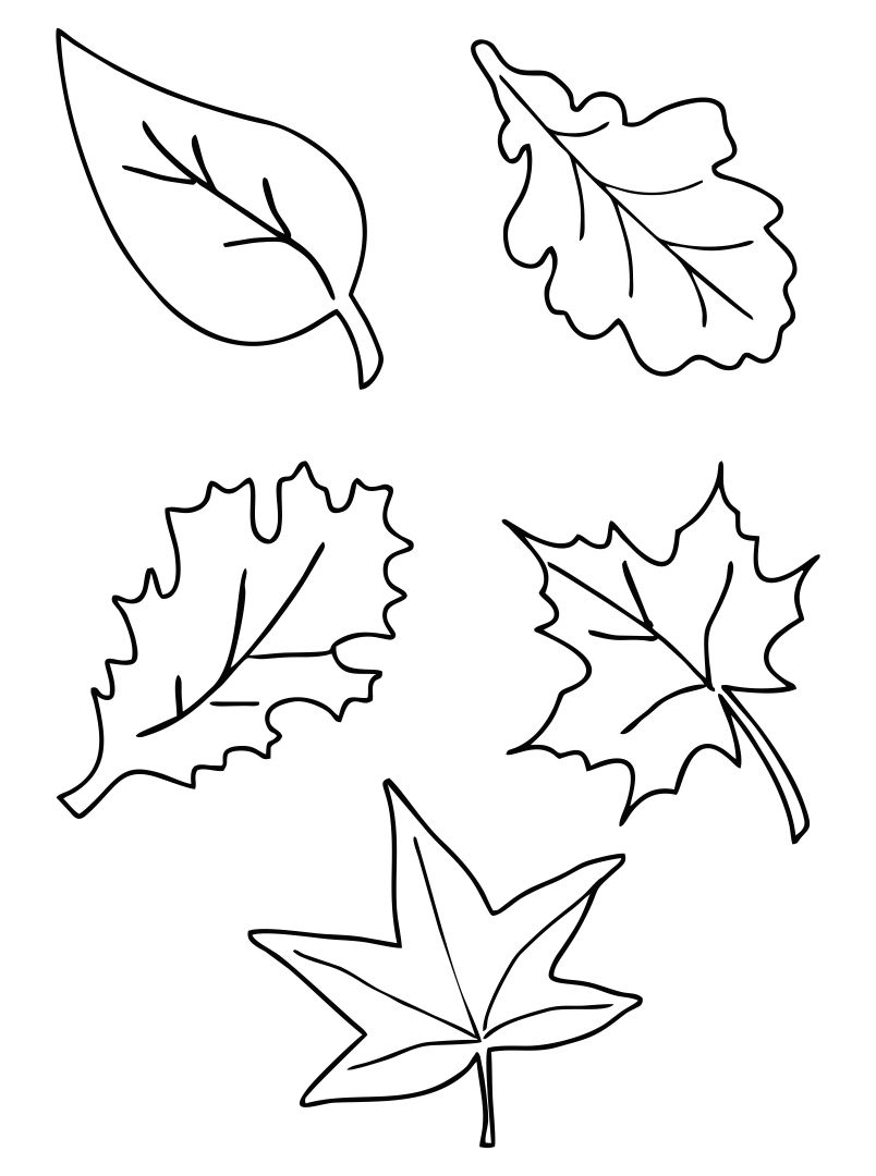 10 Best Fall Leaves Printable Templates Printablee