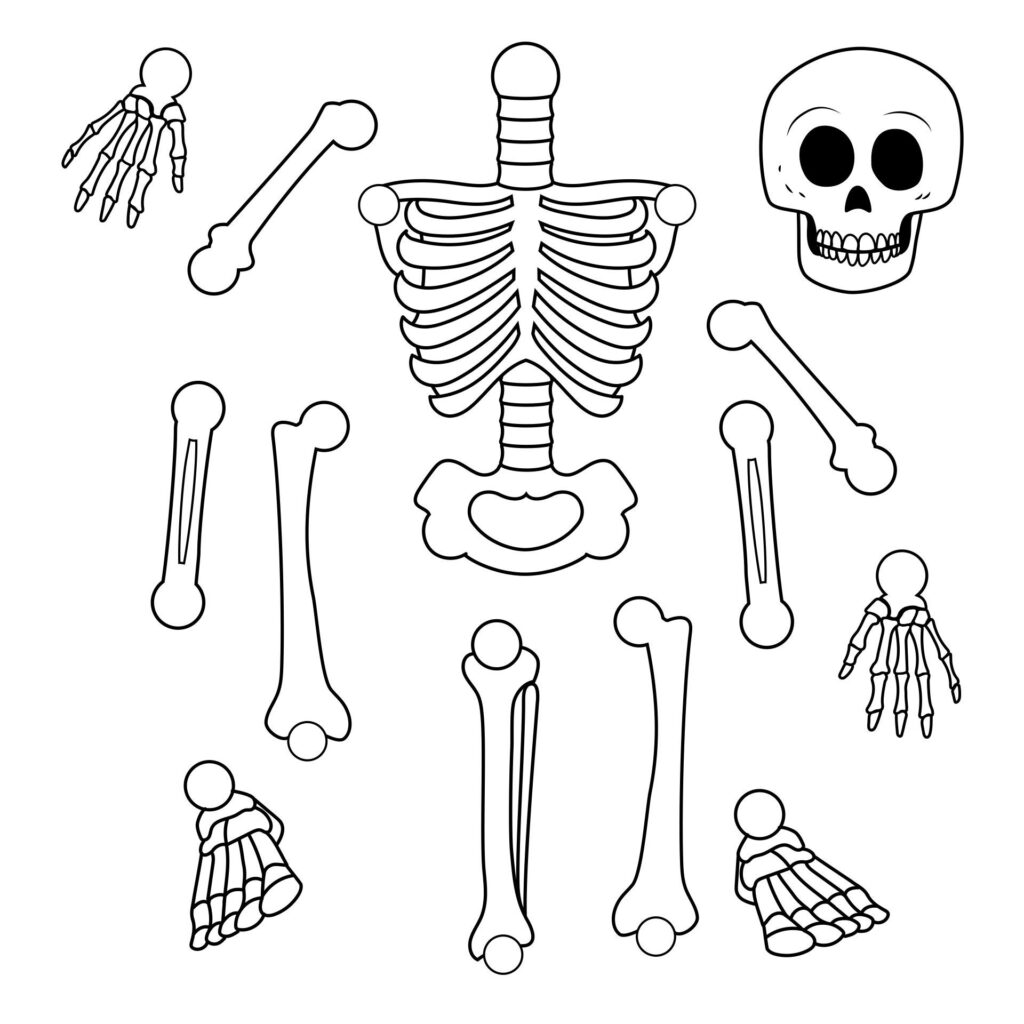 Skeleton Template Printable