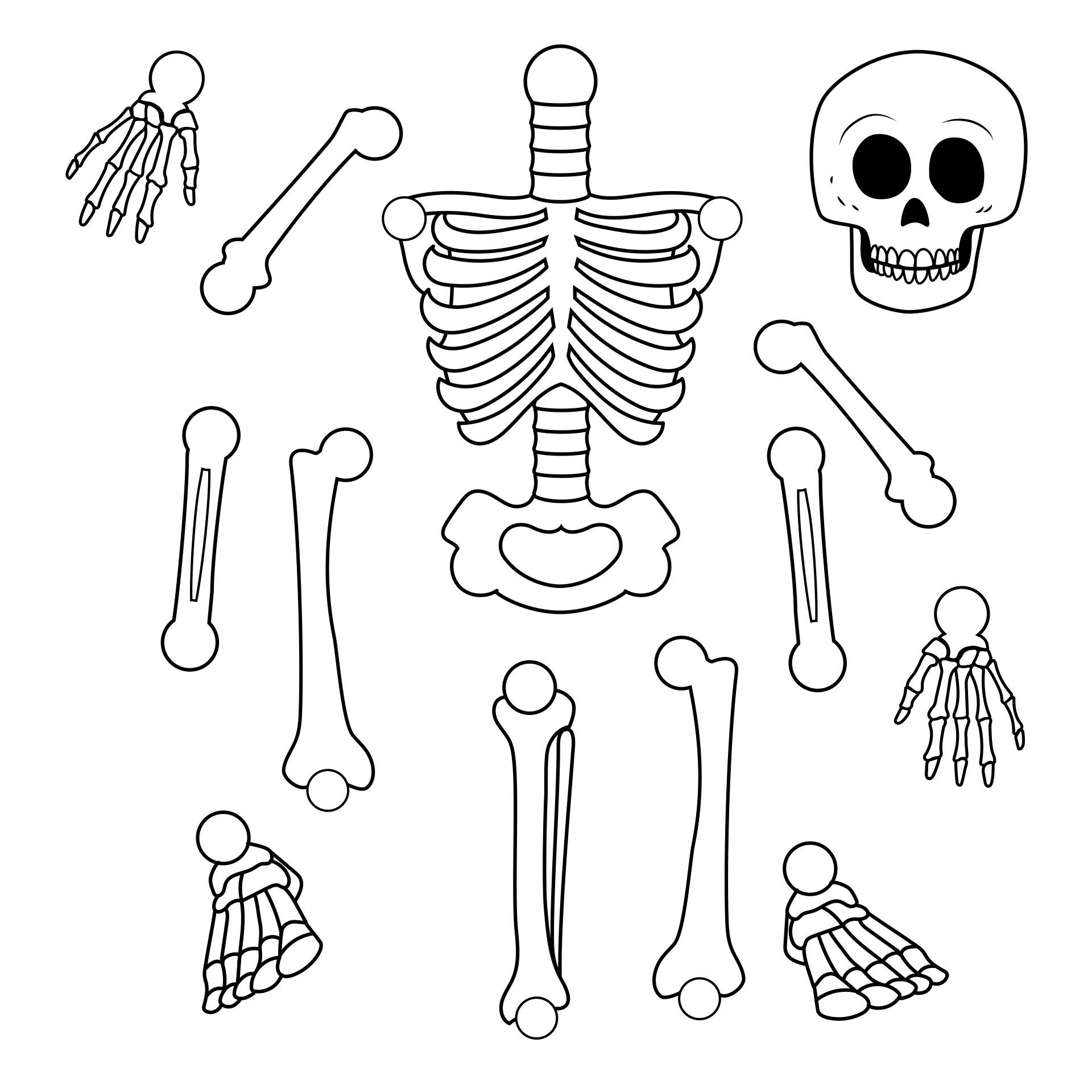 10 Best Large Printable Skeleton Template Skeleton Template Skeleton